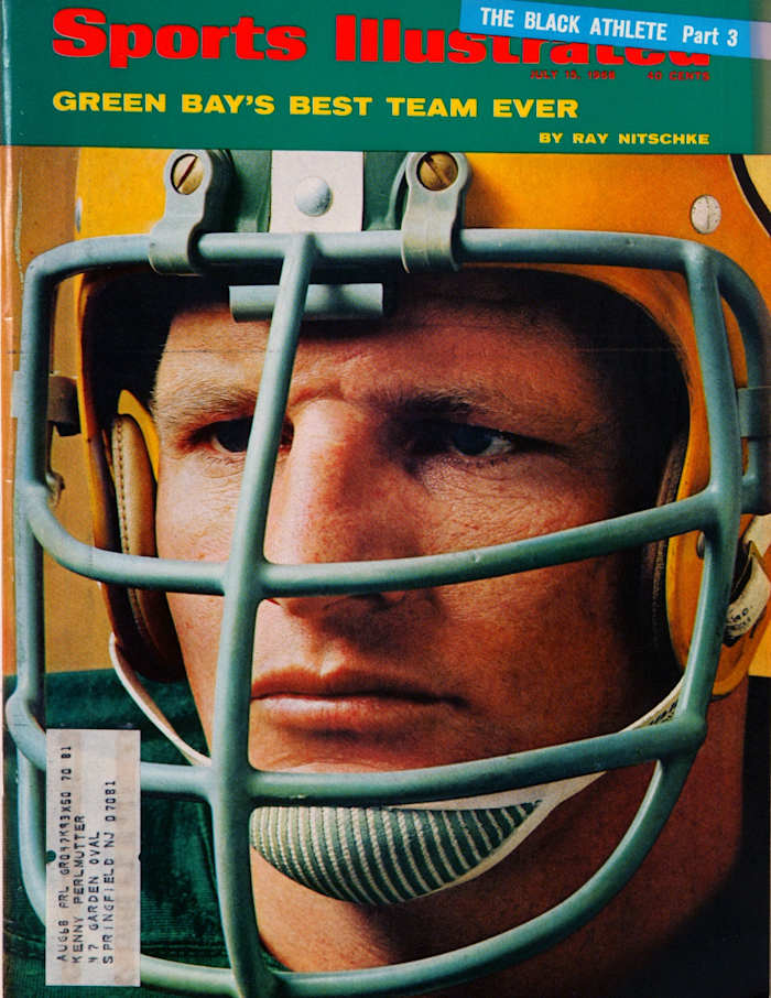 Pro Football Hall of Fame selection Ray Nitschke is part of a 15-person University of Illinois athletics hall of fame class.